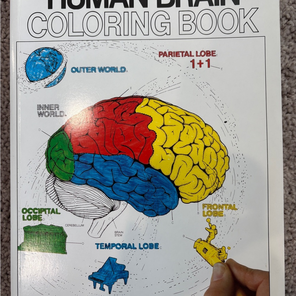 The Human Brain Coloring Book, By Marion Diamond, Never Used